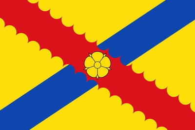 Vlag Hensies 100x150cm
