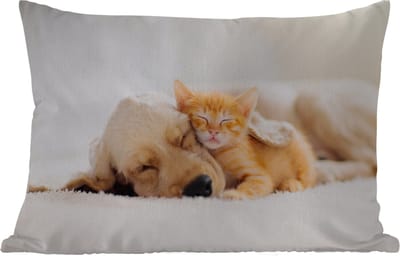 Buitenkussens - Tuin - Dieren - Hond - Kitten - Rood - 50x30 cm