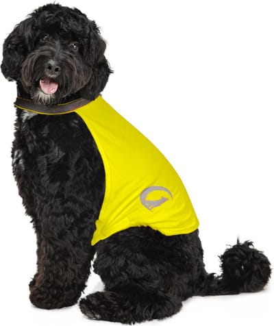 Nightwalk Safety Vest - Ruglengte 35 cm - Veiligheidsvest hond - Hondenvest - Veiligheidshesje Hond - Fluo Hond - Reflecterend veiligheidshesje - Maat M - Geel
