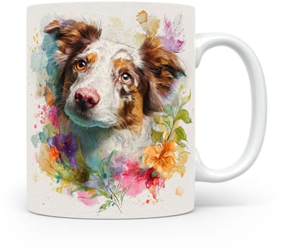 Beker Border Collie