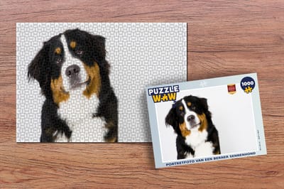 Puzzel Portretfoto van een Berner Sennenhond - Legpuzzel - Puzzel 1000 stukjes volwassenen