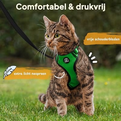 Kattentuigje voor Kleine Katten - Harnas met Lijn - Maten 28-33 cm en 37-46 cm