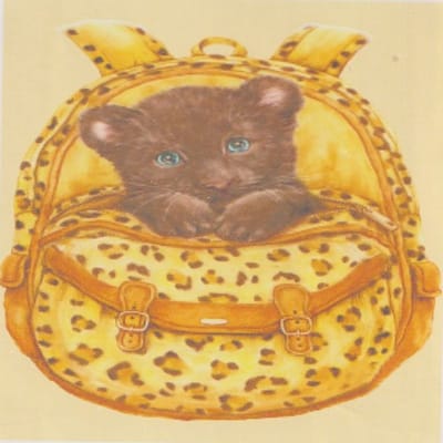 Diamond Painting Set 20 X 30 Cm - Katje - Full size ronde steentjes - Gratis verzonden