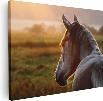 Artaza Canvas Schilderij Paardenkop - 40x30 cm - Klein - Wanddecoratie Woonkamer - Muurdecoratie Dierenkop - Kamer Accessoires