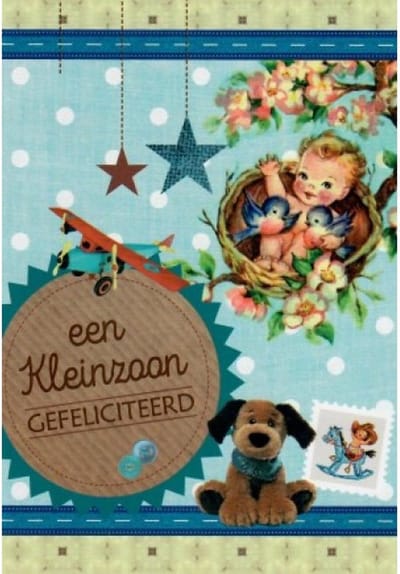 Een kleinzoon! Hartelijk gefeliciteerd! Een grappige kaart met een baby zittend in het vogelnestje bij de vogels in de boom. Een leuke knuffel, een vliegtuig en mooie versiering. Een dubbele wenskaart inclusief envelop en in folie verpakt.