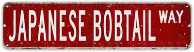 Gepersonaliseerd Naambord - Metalen Decoratie - Huis Versieren - Op Maat Gemaakt - 24x6 Inch - Stijl-7
