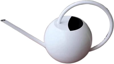 Gieter Lange Tuit - Sproeier Roestvrij Staal - Planten Water Geven - Lekvrije Constructie - 1000ml - Wit