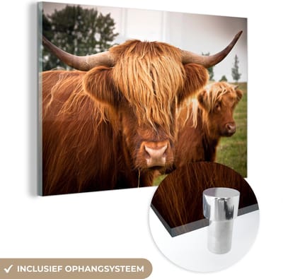 MuchoWow® Glasschilderij 150x100 cm - Schilderij acrylglas - Schotse Hooglanders - Bruin - Gras - Foto op glas - Schilderijen