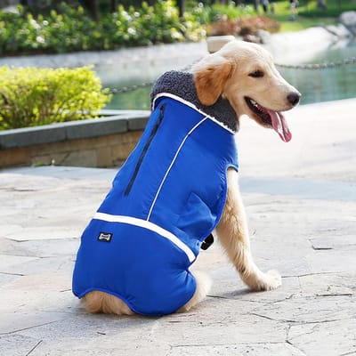 Lente/Herfst Nieuwe Verdikte Warme Hondenkleding Waterdichte Reflecterende Puppy Jas Jas Huisdier Hond Jumpsuits Voor Kleine Grote Honden Kleding S blue