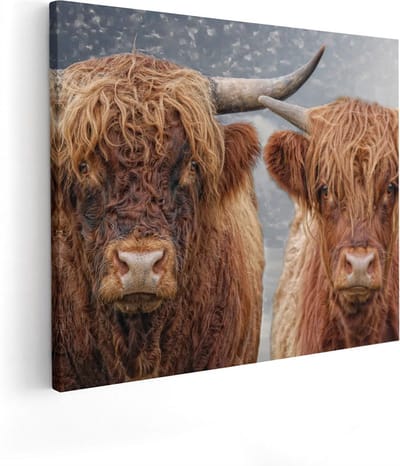 Artaza Canvas Schilderij Schotse Hooglander - 100x80 cm - Groot - Wanddecoratie Woonkamer - Muurdecoratie Dieren - Schilderijen Op Canvas