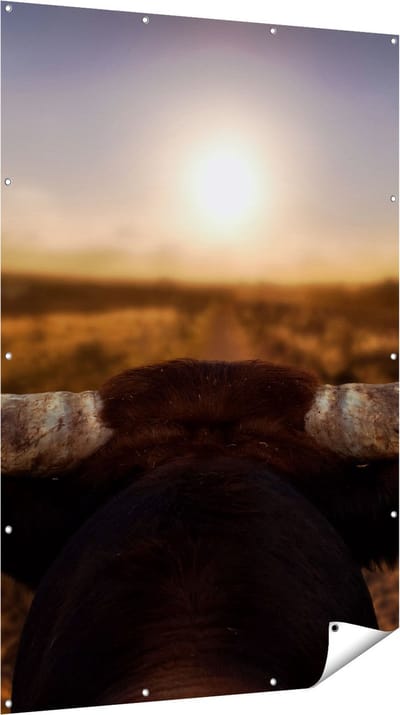 Gards Tuinposter Stierenhoorns bij Zonsondergang - 120x180 cm - Tuindoek - Tuindecoratie - Wanddecoratie buiten - Tuinschilderij