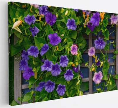 Saammp Canvas Schilderij - Klimop en Bloemen - Natuur - Abstract - 30x20 - Foto op canvas - Wanddecoratie - Muurdecoratie Woonkamer - Kantoor Decoratie