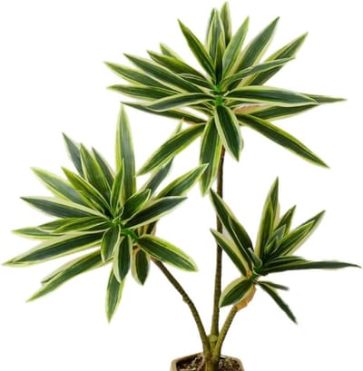 Kunstmatige Dracaena-plant 60 cm - nepplant - tropische uitstraling - perfect voor kamerdecoratie - SnelShoppen