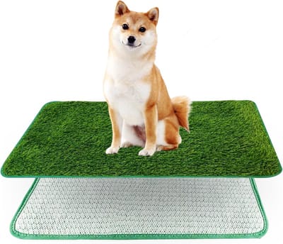 Hondentoilet kunstgras - Zindelijkheidstraining hond - Geurafstotend - Dieren training