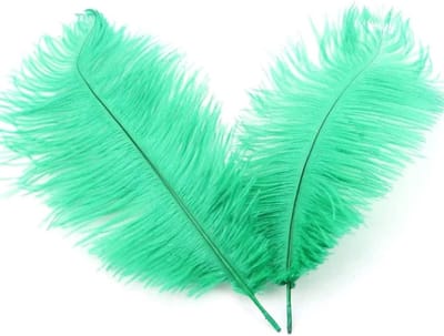 Pakket van 10 Natuurlijke Struisvogelveren 20 - 25 cm voor Creatieve Projecten, DIY Dromenvangers, Feestdecoratie en Kostuums