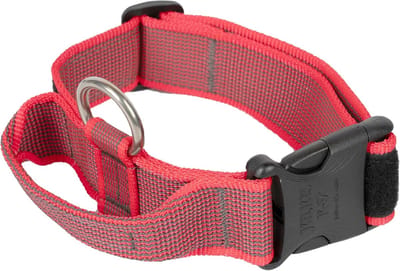 Halsband voor Honden met Handvat, Veiligheidsslot en Verwisselbare Labels - Maat 38-53 cm, Rood-Grijs