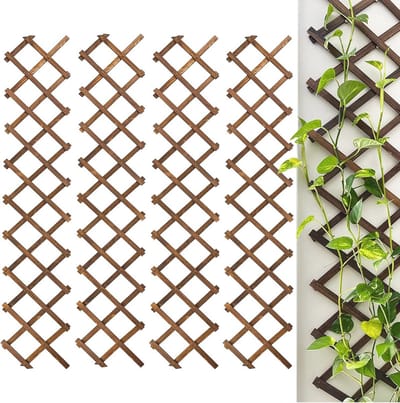 Uitbreidbare houten muurtrellis voor klimplanten - 4-pack verticaal plantrek voor buiten en binnen