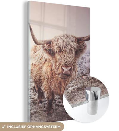 MuchoWow® Glasschilderij 120x180 cm - Schilderij acrylglas - Schotse Hooglanders - Sneeuw - Zon - Foto op glas - Schilderijen