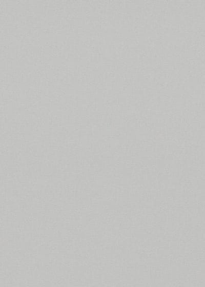 Erismann Vinylbehang 10475-10 - Coulours & Textures - Zilver - 53cm x 10.05m
