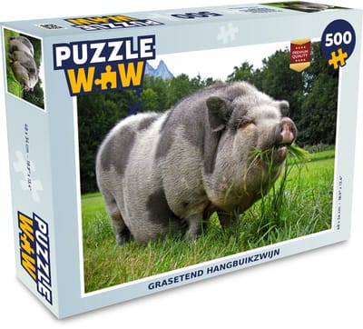 Puzzel Hangbuikzwijn - Gras - Dieren - Legpuzzel - Puzzel 500 stukjes