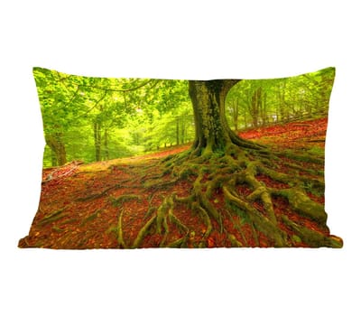 Sierkussens - Kussentjes Woonkamer - 50x30 cm - Boom - Bos - Herfstbladeren