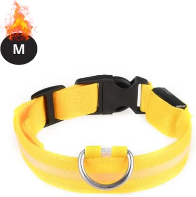 Bovista Lichtgevende Halsband - Verlichte Halsband - Lichtgevend - Hond - Kat - Lampje - Hondenhalsband Led - Geel - M