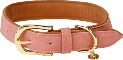 Kentucky - Hondenhalsband - Vegan Leer Hondenriem - Peach/Bruin - Maat XXS (28cm)