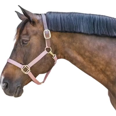 Kentucky Horsewear - Nylon halster Wellington oud roze Full