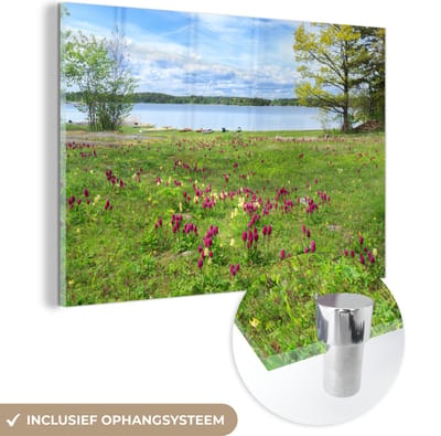 ® Glasschilderij 180x120 cm - Schilderij acrylglas - Wilde bloemen in het landschap in het Nationaal park Ängsö in Zweden - Foto op glas - Muurdecoratie woonkamer - Wanddecoratie slaapkamer - Schilderijen