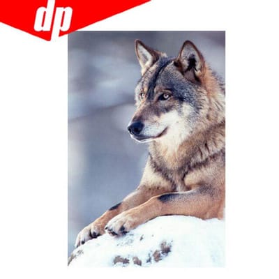 Peinture Diamant 5D DIY Complète Broderie Diamant Point de Croix Mosaïque Diamant Décoration de Maison 20X30 gray