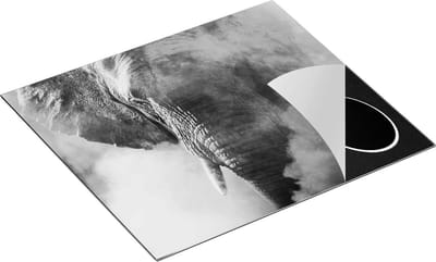 Chefcare Inductie Beschermer Olifantenkop - Olifant - Zwart Wit - 60x50 cm - Afdekplaat Inductie - Kookplaat Beschermer - Inductie Mat