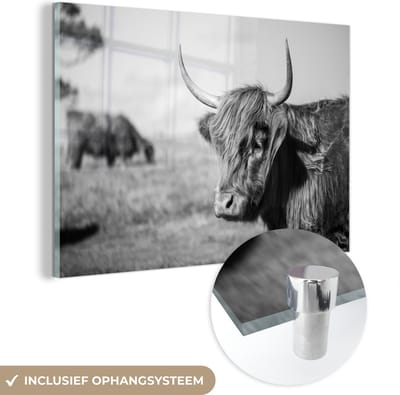 MuchoWow® Glasschilderij 120x80 cm - Schilderij acrylglas - Schotse Hooglander - Dieren - Zwart - Wit - Foto op glas - Schilderijen