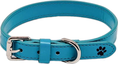 Turquoise Leren Halsband Hond - Turquoise Hondenhalsband Leer - Blauw - Blauwgroen - Twinkly Turquoise - Paw My God! - Maat S