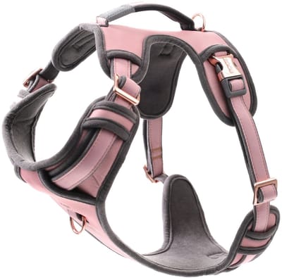 Rogz Urban Explore Tuig Roze Blos - Hondenharnas - Xl