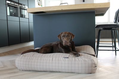 Dog's Companion Hondenkussen / Hondenbed - XS - 55 x 45 cm - Manhattan Camel
