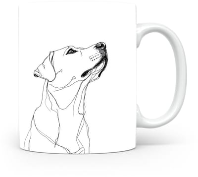 Beker Labrador Retriever