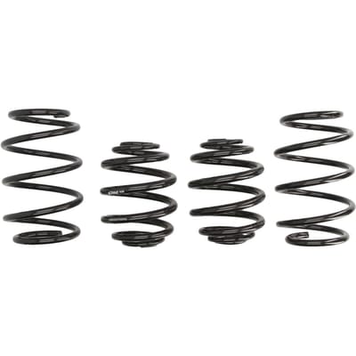 Veren EIBACH Pro Kit E6521-140