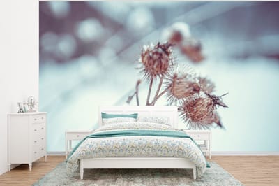 Behang - Fotobehang Planten - Winter - Sneeuw - Natuur - Breedte 320 cm x hoogte 240 cm