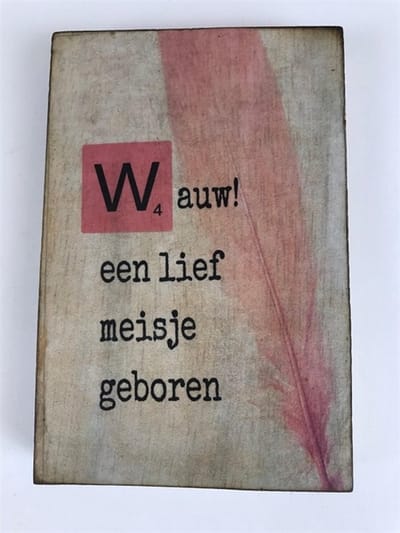 Tekstblok 10x15 2 cm dik W Wauw meisje