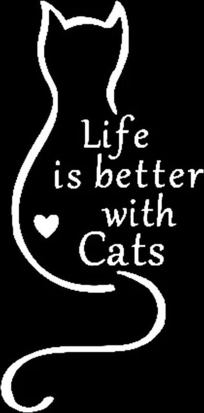 GoedeDoelen.Shop | Auto Sticker Life With Cats Zilver | Autosticker | Kattensticker | Poezensticker | Weersbestendig | 15 x 7 CM | Life Is Better With Cats | Scootersticker | Laptopsticker | Koelkaststicker | Transparant Zilver
