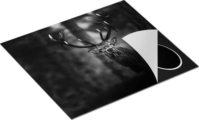 Chefcare Inductie Beschermer Hert in het Bos van Dicthbij - Zwart Wit - 60x50 cm - Afdekplaat Inductie - Kookplaat Beschermer - Inductie Mat