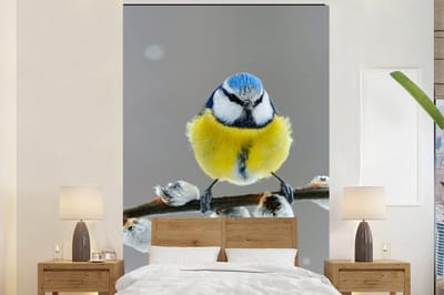 Behang - Fotobehang Pimpelmees - Vogel - Tak - Geel - Blauw - Breedte 160 cm x hoogte 240 cm