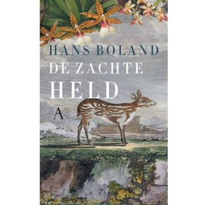 De Zachte Held - Hans Boland