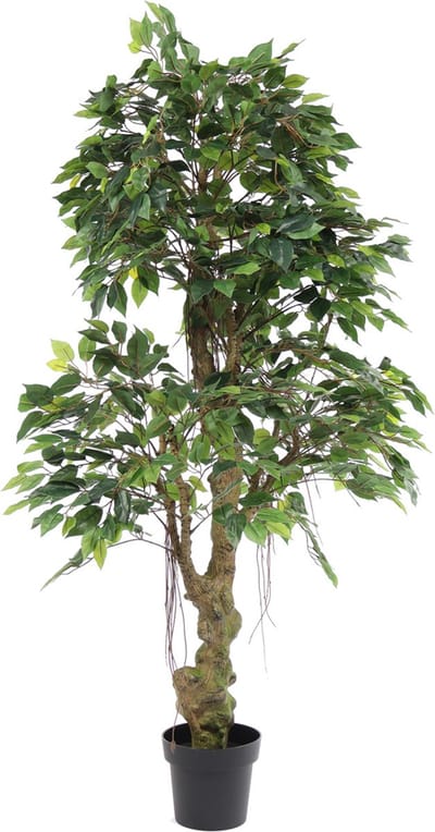 Kunst Jungle Ficus Banyan | 165cm - Namaak jungle ficus Banyan - Kunstplanten voor binnen - Kunstplant jungle ficus Banyan
