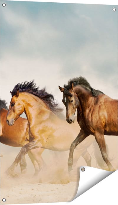 Gards Tuinposter Drie Bruine Paarden - 60x90 cm - Tuindoek - Tuindecoratie - Wanddecoratie buiten - Tuinschilderij