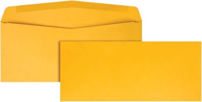Zakelijke Enveloppen - Bruine Enveloppen - Post Verzenden - Zwaar Kraft Papier - 4 1/8 x 9 1/2 inch - Lichtbruin