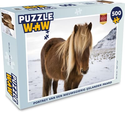 Puzzel Portret van een nieuwsgierig IJslander paard - Legpuzzel - Puzzel 500 stukjes