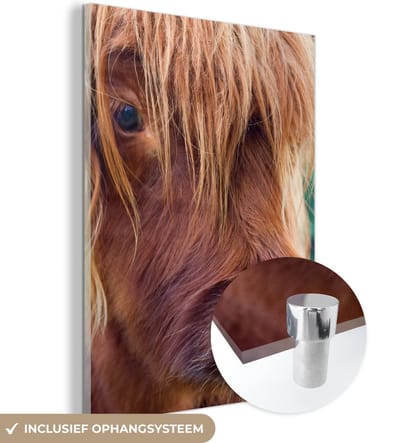 MuchoWow® Glasschilderij 120x160 cm - Schilderij acrylglas - Schotse Hooglander - Bruin - Kalf - Foto op glas - Schilderijen
