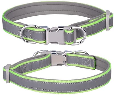 aladdien - Reflecterende nylon halsband - Verstelbare halsbanden voor honden - Groen - Zachte neopreen vulling - Veiligheidsgesp - Geschikt voor kle..