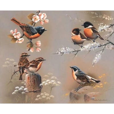Peinture diamant 5D d'oiseau, image 3D, broderie d'animaux, point de croix, mosaïque 50X70CM